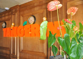 Aparthotel Tangerine 3