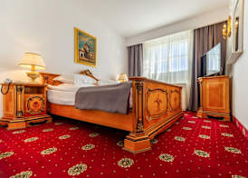 Hotel Imparatul Romanilor Hotel & SPA 5