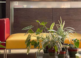 Now Hotel Cali - Adults Only 2