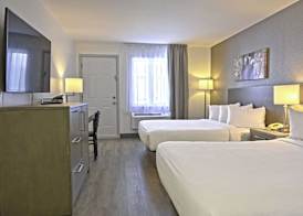 Repotel Levis 4