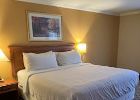 Hotel Xola 5