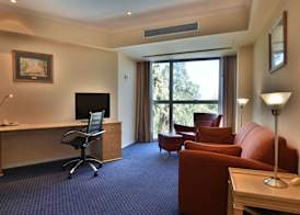 Holiday Inn CORDOBA by IHG 3