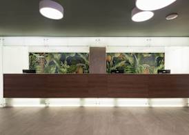 Hotel Calypso Beach 4