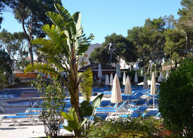 Hotel Pabisa Sofia 3