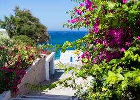 Alkistis Beach Hotel - Designed for Adults 2
