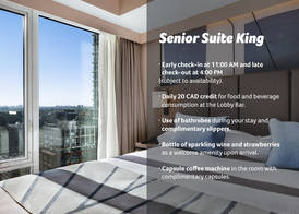 Riu Plaza Toronto 5