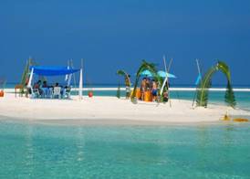 Plumeria Maldives 4