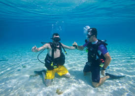 Occidental Cozumel 5