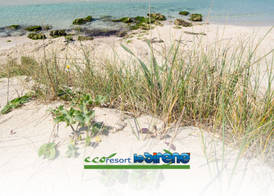 Ecoresort Le Sirene - Caroli Hotels 4