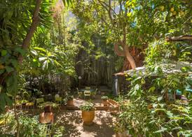 Le Windsor, Jungle Art Hotel 5