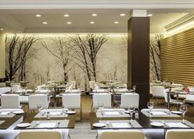 Ilunion Suites Madrid 5
