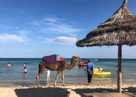 Le Hammamet Hôtel & Spa 5
