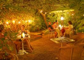 Le Windsor, Jungle Art Hotel 2