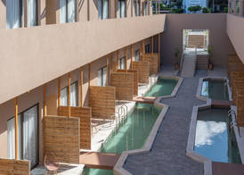 Golden Bee Lifestyle 5