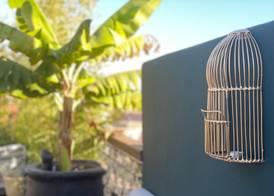 Dellarosa Boutique Hotel and Spa 5
