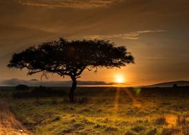 Muthu Keekorok Lodge, Maasai Mara, Narok 5