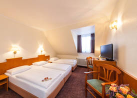 Hotel Ahl Meerkatzen 4