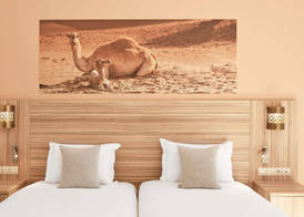 Iberostar Waves Club Palmeraie Marrakech All Inclusive 2