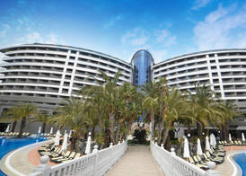 Royal Wings Hotel 2