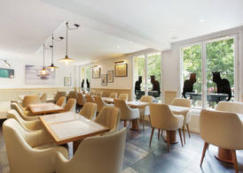 Hotel Le Chat Noir 4