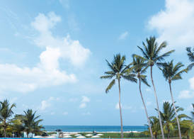 Riu Sri Lanka All Inclusive 3