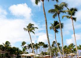 Sunscape Dominicus La Romana 5