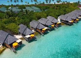 Dhigufaru Island Resort 5