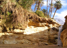 Combiné Djerba et Désert 5