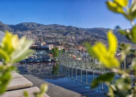 The Vine Hotel 3