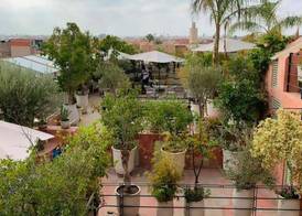 Riad Moullaoud 2