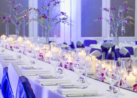 Swissotel Sydney 4