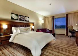 Hilton Garden Inn Mardin 4