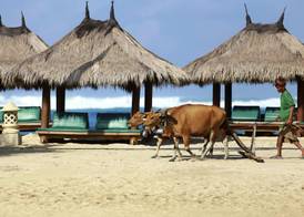 Novotel Lombok Resort & Villas 4