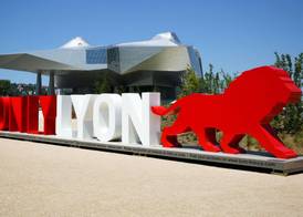 Hotel Ibis Budget Lyon Eurexpo - 3