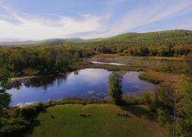 Hampton Inn & Suites Berkshires-Lenox 3