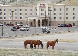 Hampton Inn & Suites Green River 4
