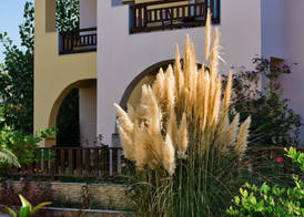 Gaia Palace 3