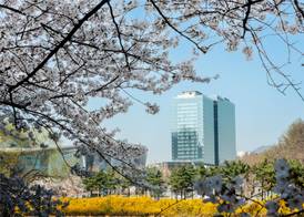 DoubleTree By Hilton Seoul Pangyo 2