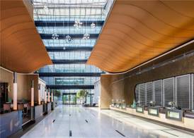 Hilton Frankfurt Airport 5