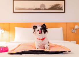 ibis Annecy Centre Vieille Ville 3
