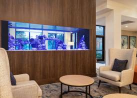 Hilton Garden Inn Palm Coast Town Center 4