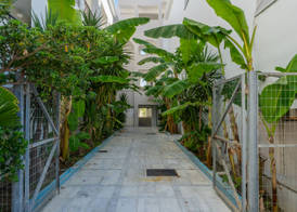 Mojo Hotel 3