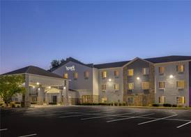 Spark by Hilton Ames 2