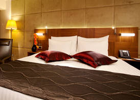 Crowne Plaza ISTANBUL - HARBIYE by IHG 4