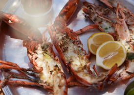 Grecotel LUXME White 3