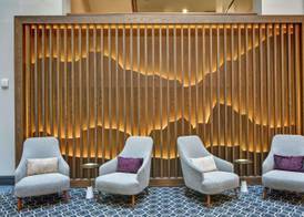 The Cincinnatian Curio Collection by Hilton 4
