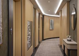 Diyar Ajwa, Tapestry Collection By Hilton 4