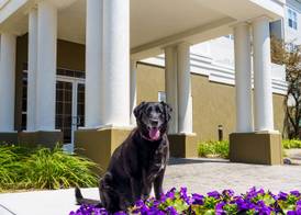 Homewood Suites by Hilton Erie 2