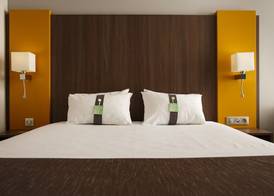Holiday Inn LYON - VAISE by IHG 5