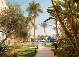 Novotel Cairo 6th Of October 3
